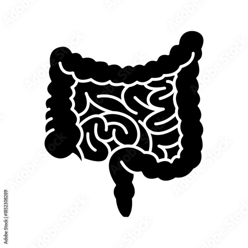 Human intestines digestive system solid glyph icon vector
