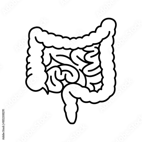 Human intestines digestive system line art outline icon
