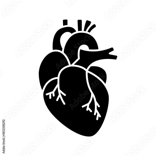 Human heart internal organ solid glyph icon vector
