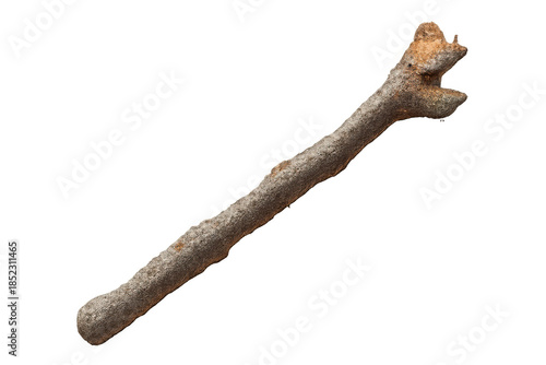 Dry branch or twig isolated, showing natural wood texture and organic shape on transparent background