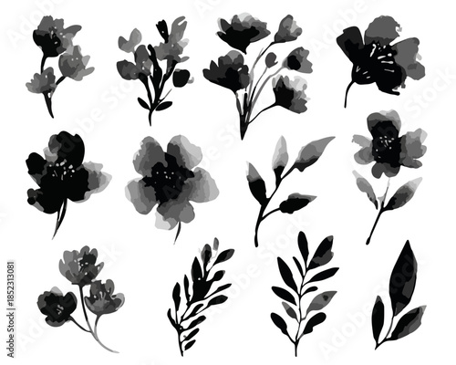 Set von zwölf schwarz-weißen Aquarell-Blumen und Blättern als isolierte grafische Elemente mit transparentem Hintergrund.