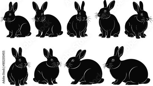 Rabbit, silhouette, animal, bunny, hare, pet, wildlife, posture, sitting, standing, running, crouching, leaping, whiskers, ears, outline, design, illustration, concept, black, white, art