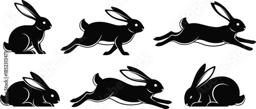Rabbit, silhouette, animal, pet, hare, bunny, sitting, walking, leaping, crouching, resting, posture, motion, wildlife, mammal, outline, design, illustration, concept, black, white, art