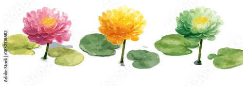 Vetor aquarela de três flores de lótus coloridas, rosa, amarelo e verde, com folhas flutuantes.