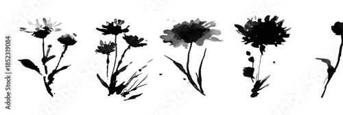 Coleção de silhuetas de flores desenhadas em estilo pincelada chinesa sumi-e preto e branco.