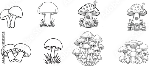vector art of a set of mushrooms and plants