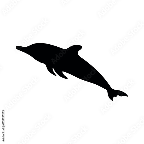 dolphin icon vector silhouette 