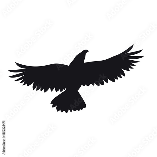 eagle icon vector silhouette