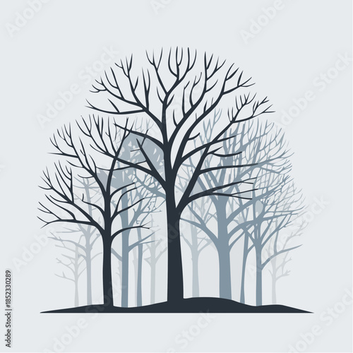 Silhouette of bare winter trees with clean outlines