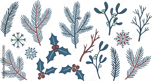 Winter botanical illustration set with pine branches, holly leaves, mistletoe, snowflakes, festive Christmas nature elements collection