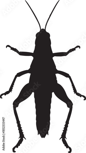 Grasshopper Vector Silhouette