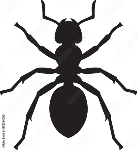 Ant Vector Silhouette