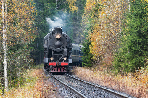 Steam train moves in the forest.