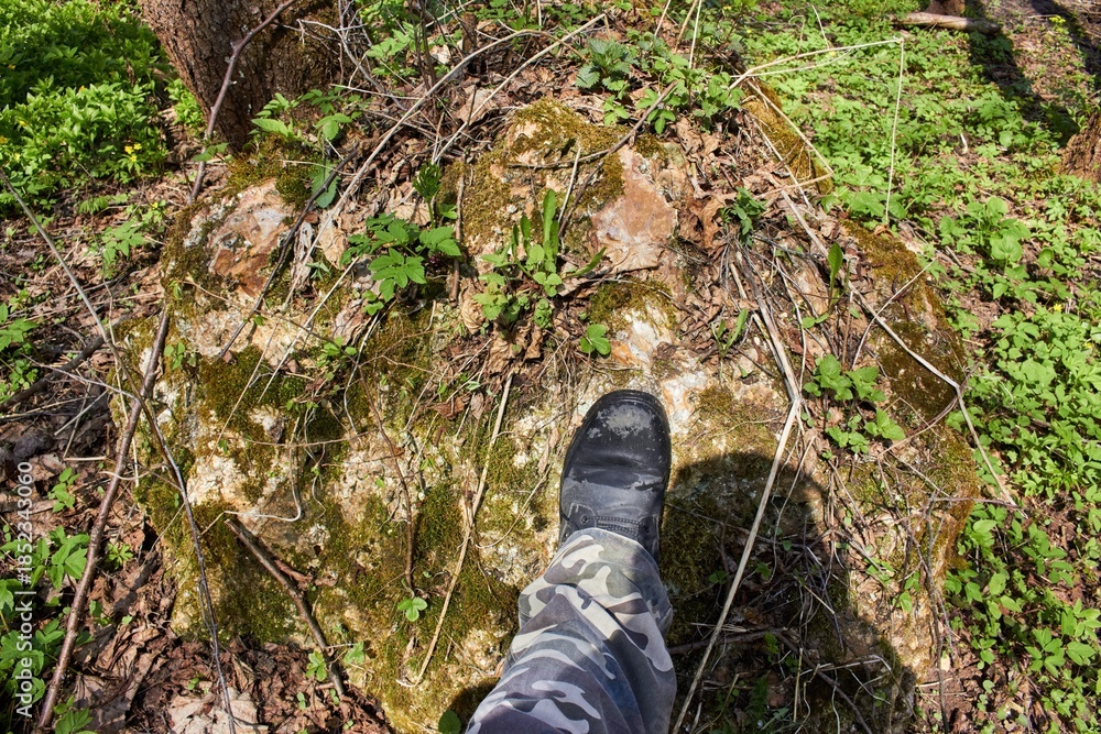 Fototapeta premium Hiker's boot resting on a mossy, silicified rock fragment surrounded by bright spring woodland greenery and dry twigs
