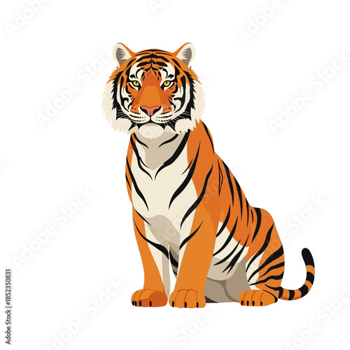 tiger on white background