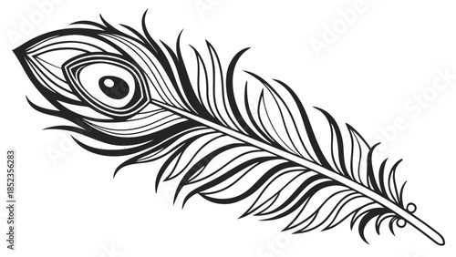 Detailed black peacock feather with eye and intricate patterns