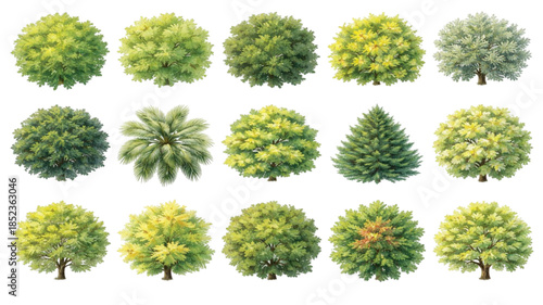 Set of spring nature trees and floral garden flowers collection with yellow sunflower and pink daisy pattern vector illustration isolated on white