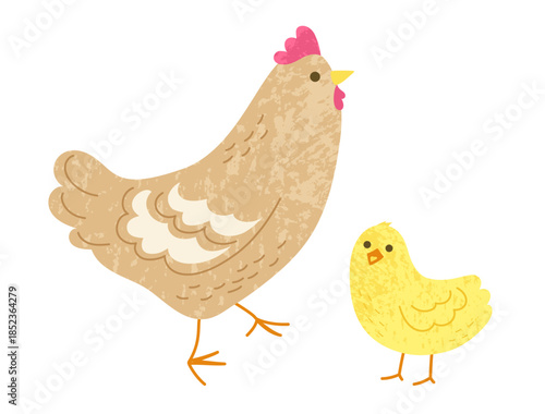 Hen and chick illustration with grainy texture. Chicken, hen, rooster comic birds characters. Poultry farm domestic birds animal flat collection. Childish cartoon hand drawn vector illustration