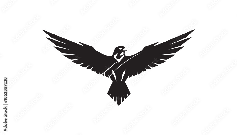 Obraz premium Silhouette of Eagle in Flight