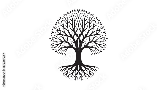 Tree with Extensive Branches and Roots