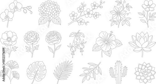 One line art drawing style. Black line sketch on white background. Vector illustration.Linear flower in one line continuous style.Elegant continuous line drawing abstract flower in