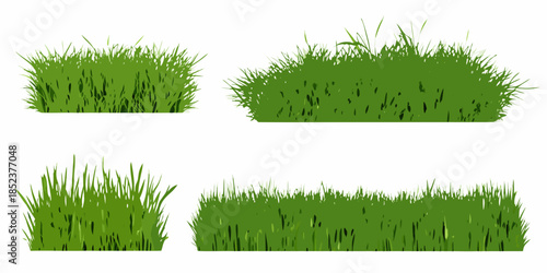 Illustrative green grass patches with varying lengths and textures on white background