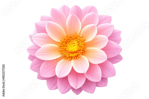Pink dahlia flower in full bloom showing vibrant petals and yellow center on transparent background