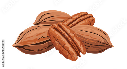 Group of pecan nuts, including several whole nuts in their shells and a pair of shelled kernels, showing the edible part inside.
