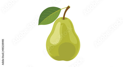 Simple and clean illustration of a single fresh green pear with a brown stem and a small green leaf, isolated on a white background.