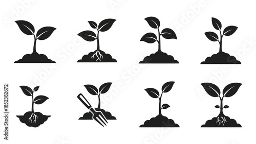Black Silhouette Plant Growth Icons Set EPS10 Stock.eps