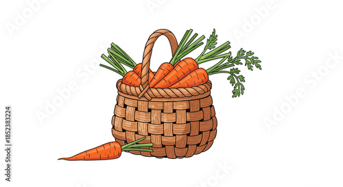 A rustic, hand-drawn style wicker basket overflowing with fresh carrots with their green tops, isolated on a clean white background perfect for farm themes.