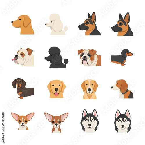 Collection of Various Dog Breeds Illustrated.