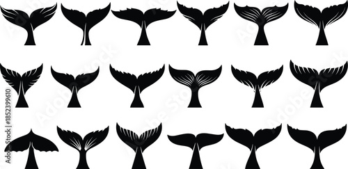 Mega collection of black whale and dolphin tail silhouettes diving into ocean water isolated on white background for marine design,