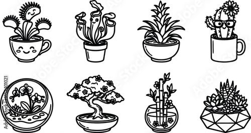 Various potted plants and cacti in different containers