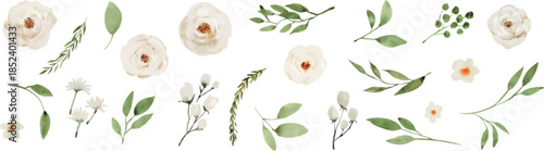 White and Green Watercolor Floral Elements Set, Botanical Flowers and Leaves