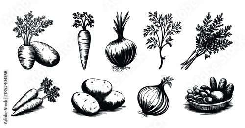 Collection of handdrawn vegetable illustrations including carrots, onions, potatoes, and a basket of produce for culinary use and foodrelated projects.