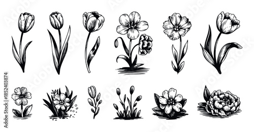 Collection of handdrawn black and white flower graphics including tulips, peonies, and other blossoms for greeting cards, invitations, and springthemed projects