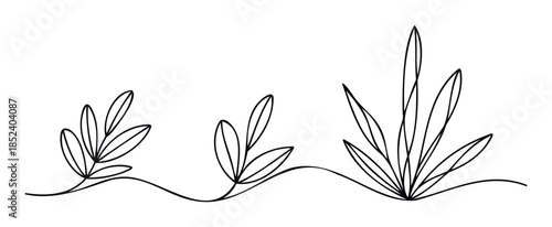 Minimalist line art of growing plants and leaves evolving in size and complexity on a flowing line for organic or natural themes