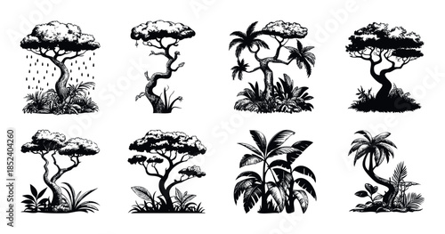 Diverse collection of exotic and tropical trees and plants in a striking black and white graphic style, perfect for nature themed projects and environmental graphics.