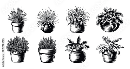 Collection of eight potted plants in black and white linocut style for home decor and botanical art applications