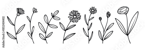 Collection of outline floral elements and flowers for nature inspired graphic projects and botanical compositions used in web or print media