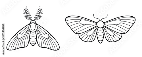 Two detailed black and white moth outlines for graphic design projects, ideal for insectthemed concepts and natural history presentations.
