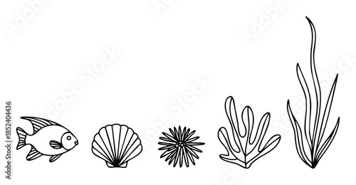Hand drawn line art fish, seashell, and seaweed elements create a whimsical underwater scene perfect for childrens books, oceanthemed decorations, or marine life educational materials.