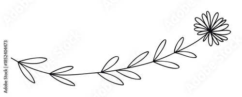 Delicate line drawing of a floral branch curving gracefully to the right, perfect for elegant branding and organic invitations.