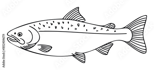 A minimalist outline drawing of a salmon fish with fins and tail clearly depicted, perfect for culinary themes and nature presentations.