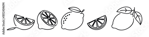 Fresh lemons in line style, whole and sliced fruits with leaves for refreshing beverage and food advertisements, perfect for healthy eating and summer themes.