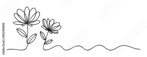 Simple line drawing of two delicate flowers with leaves and wavy stems, perfect for botanical themes, floral designs, and naturalistic decoration.