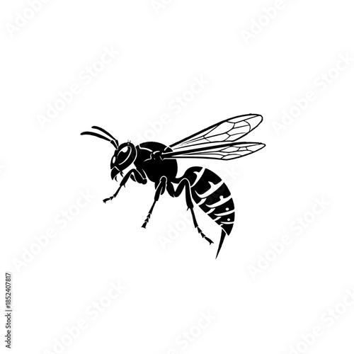 Stylized Black and White Wasp Insect Icon Graphic