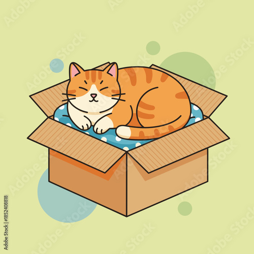 Cat sleeping peacefully in a cardboard box on pastel background  
