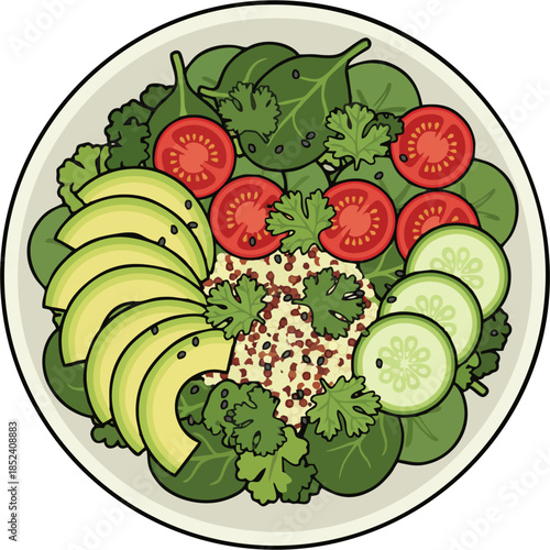 Healthy Quinoa Salad Bowl with Avocado, Cucumber, Cherry Tomatoes and Leafy Greens Flat Vector Illustration